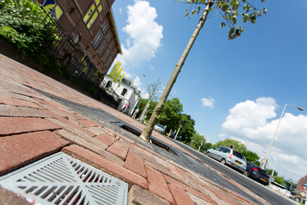 GreenBlue Urban RootSpace boombunker Groene Wal Deventer